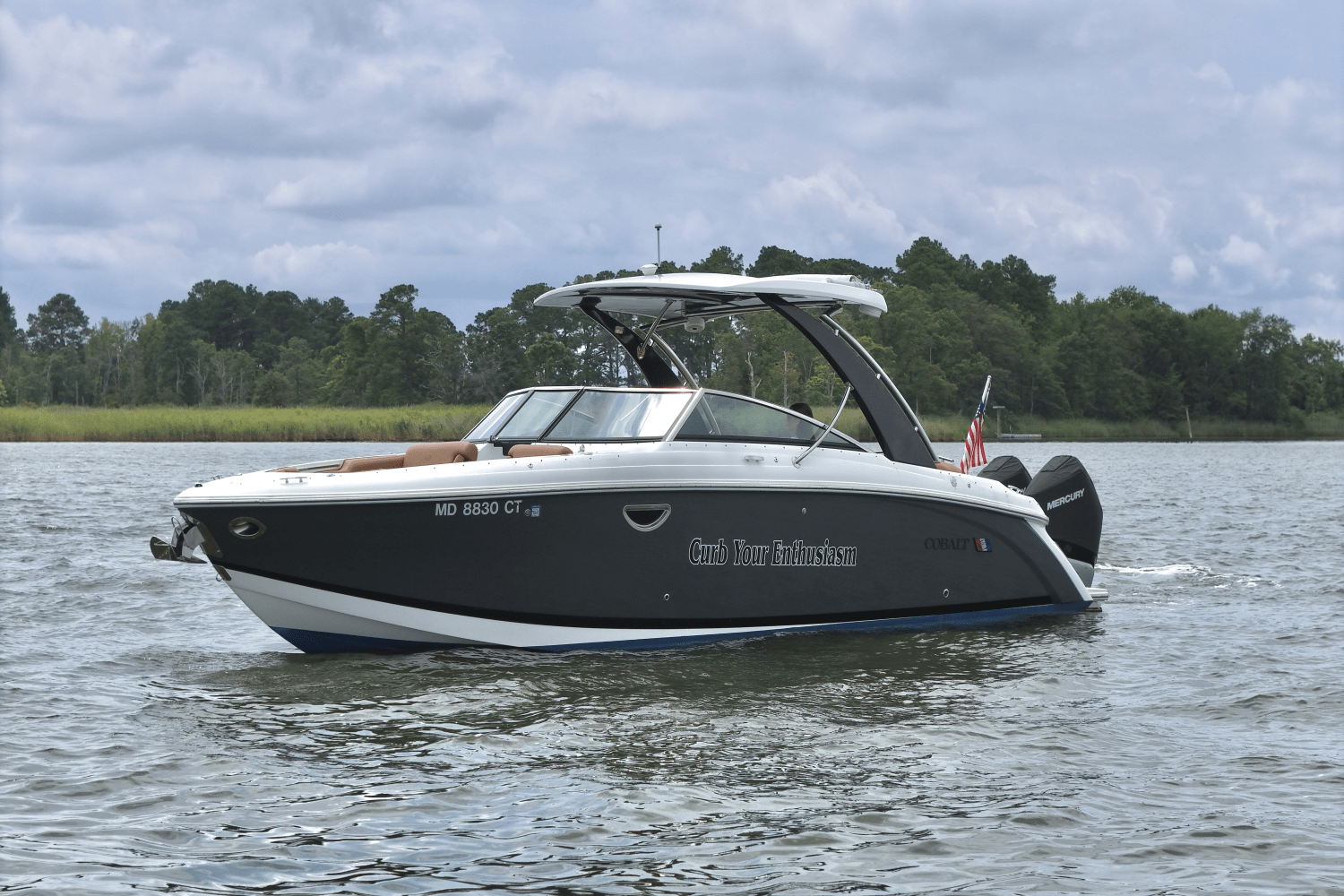 2023 Cobalt 30SC Outboard Image Thumbnail #6