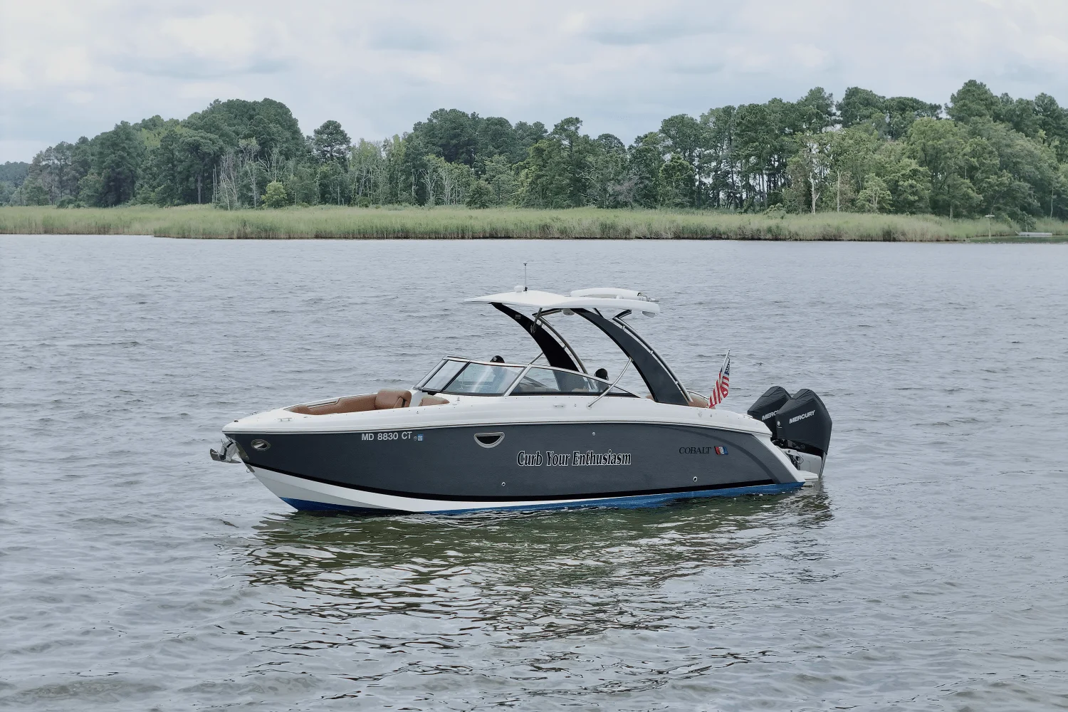 2023 Cobalt 30SC Outboard Image Thumbnail #6
