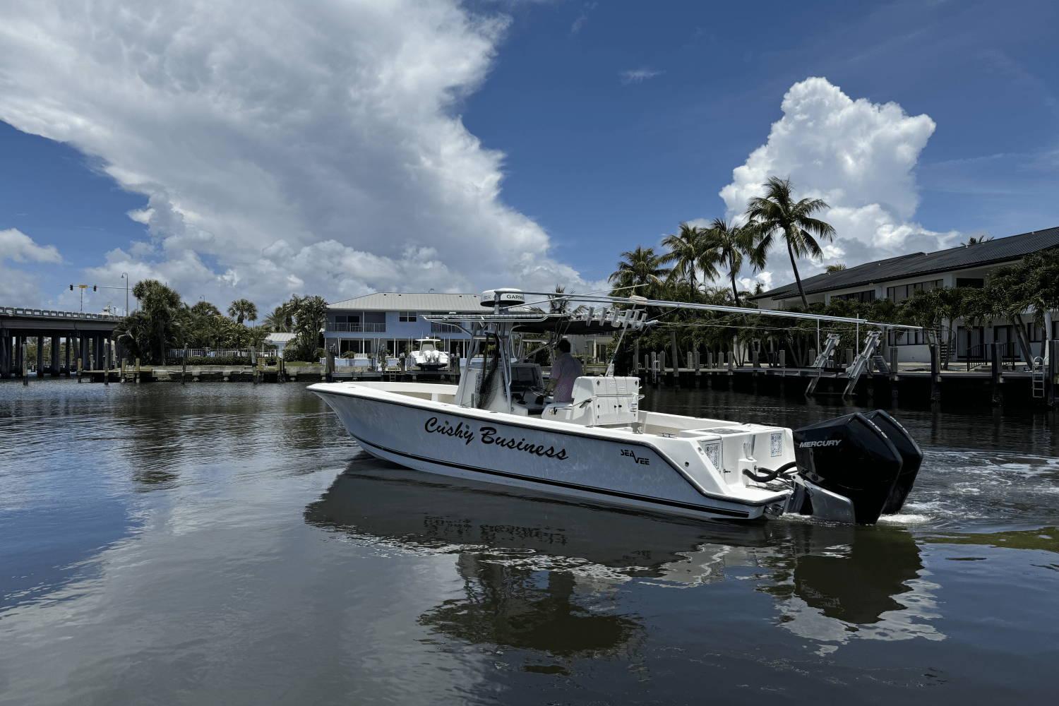 2006 SeaVee 290B Image Thumbnail #7