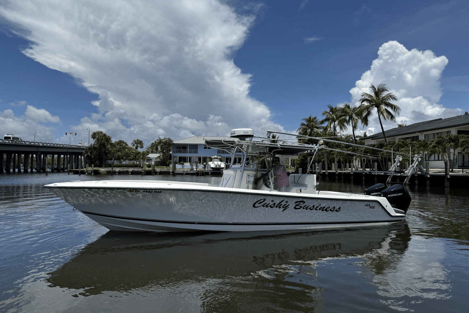 2006 SeaVee 290B Image Thumbnail #17