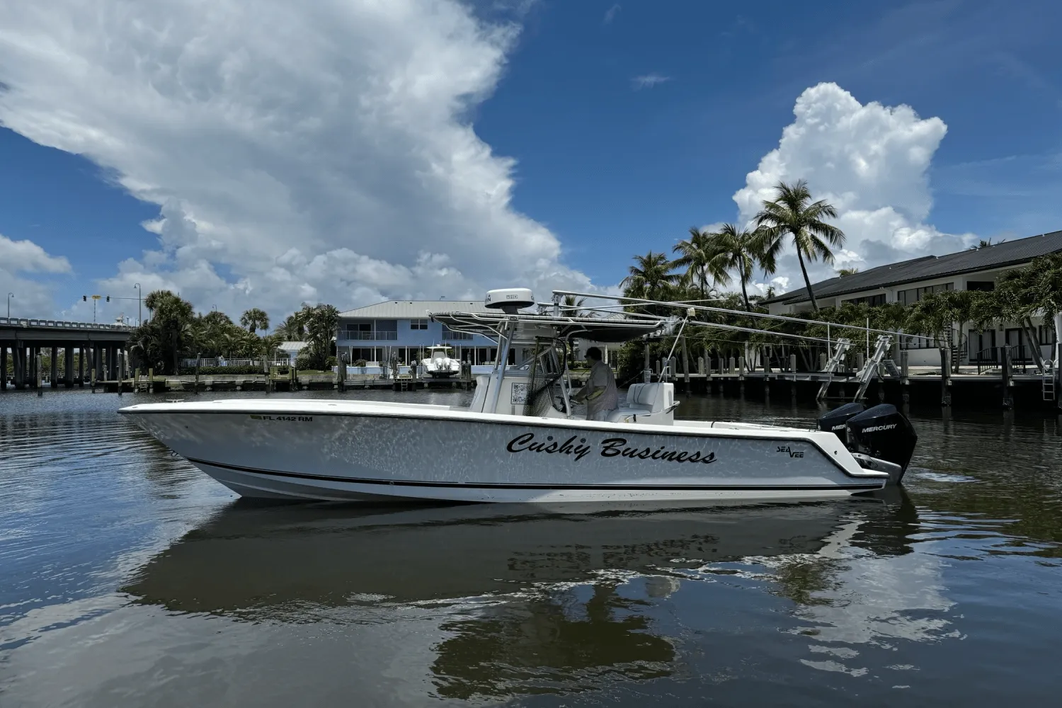 2006 SeaVee 290B Image Thumbnail #2