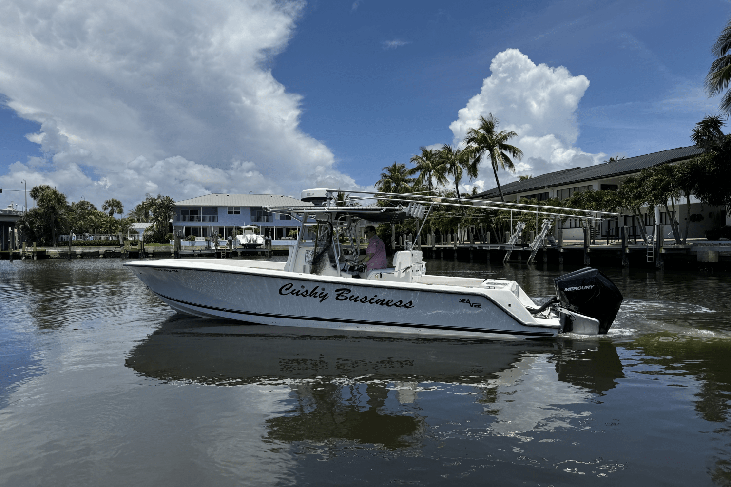 2006 SeaVee 290B Image Thumbnail #3