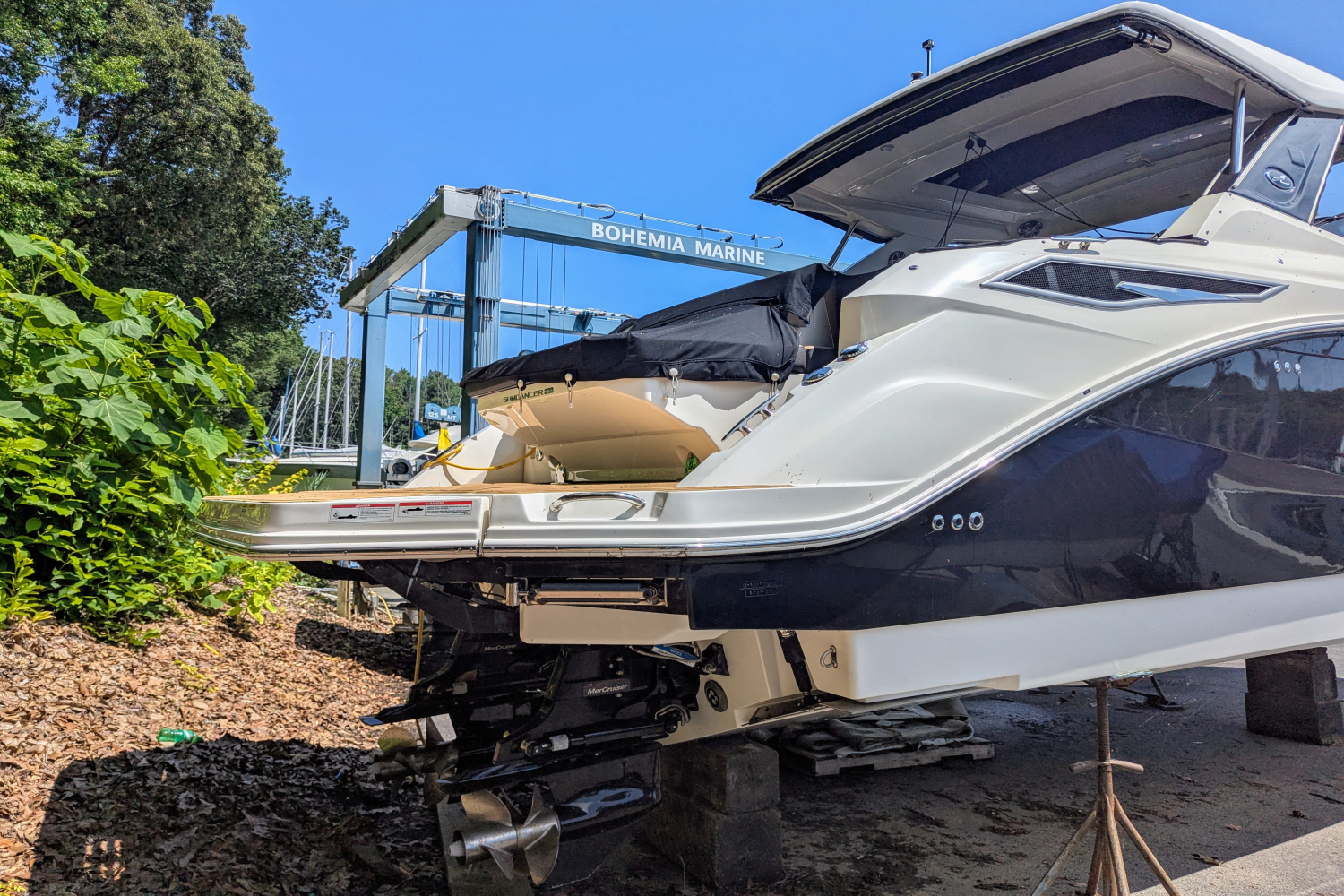 2023 Sea Ray 320 DA Image Thumbnail #6