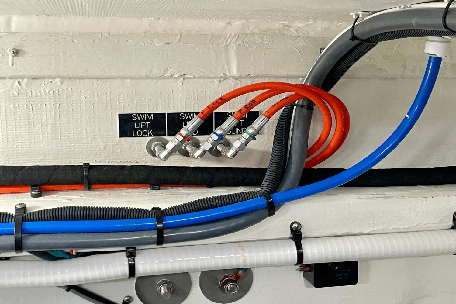 2023 Cruisers Yachts 46 CANTIUS Image Thumbnail #37