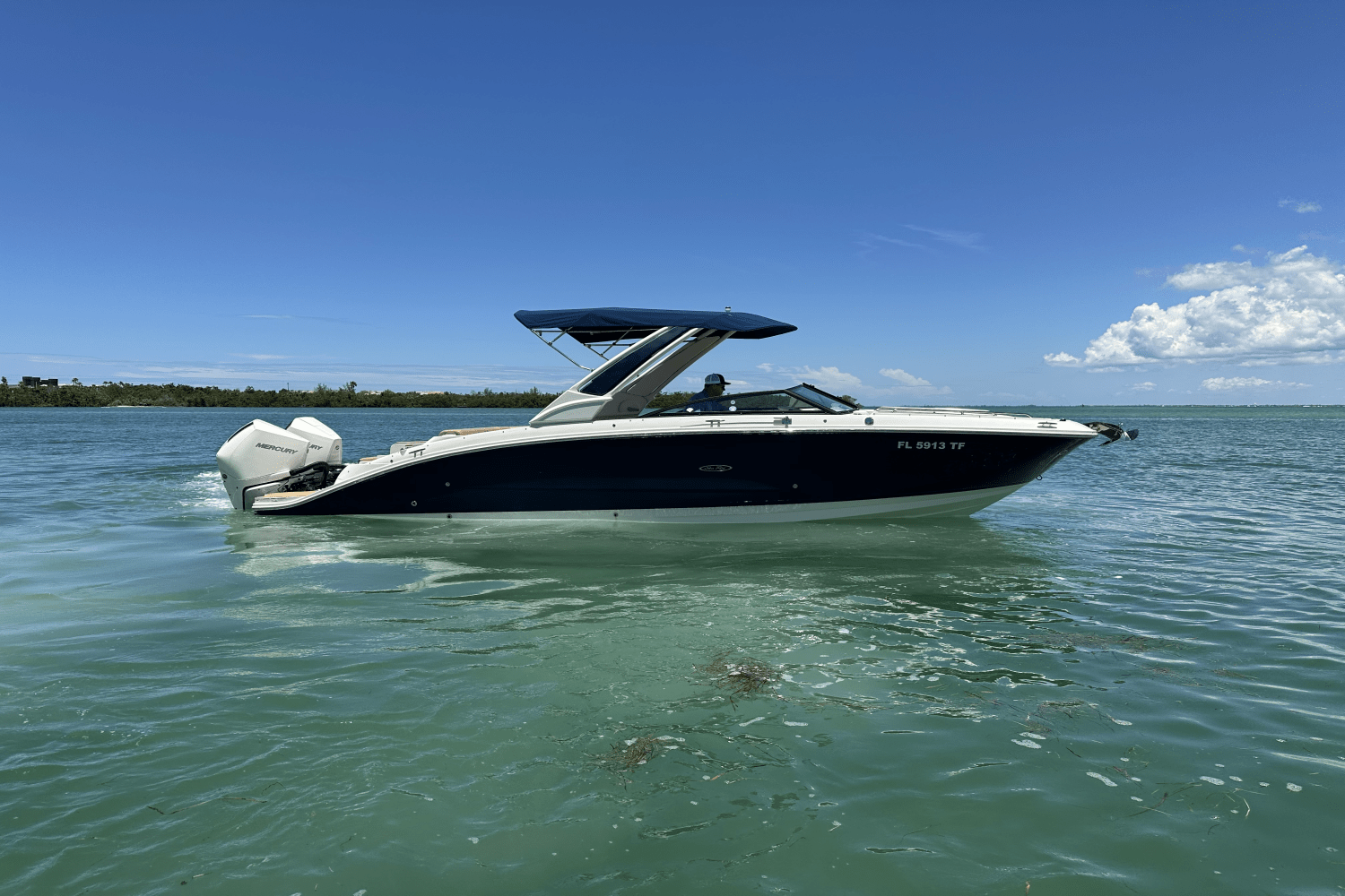 2022 Sea Ray 290 SDX OUTBOARD Image Thumbnail #4
