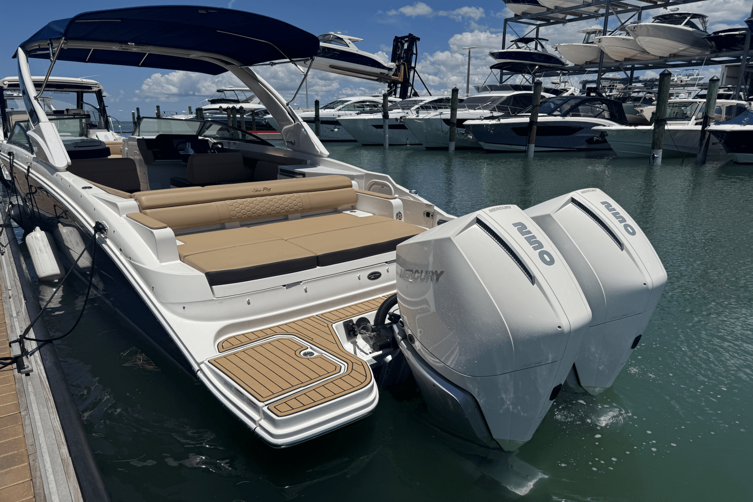 2022 Sea Ray 290 SDX OUTBOARD Image Thumbnail #12
