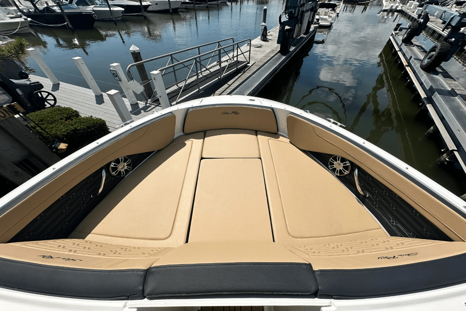 2025 Sea Ray SPX 210 Image Thumbnail #11