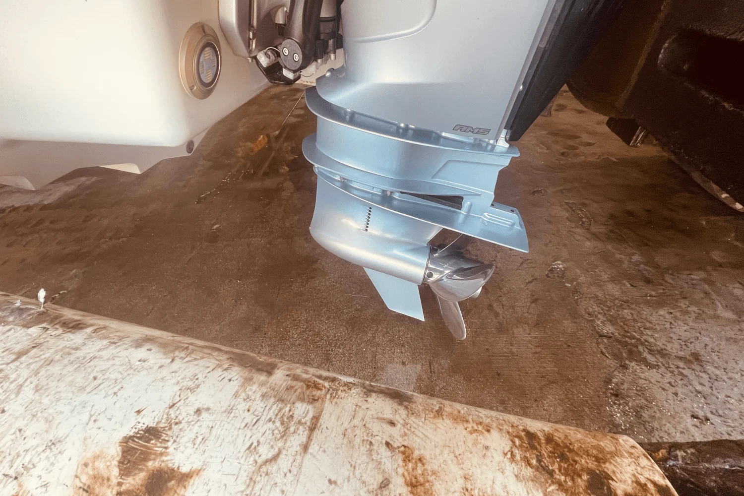 2024 Sea Ray 310 SLX OB Image Thumbnail #28