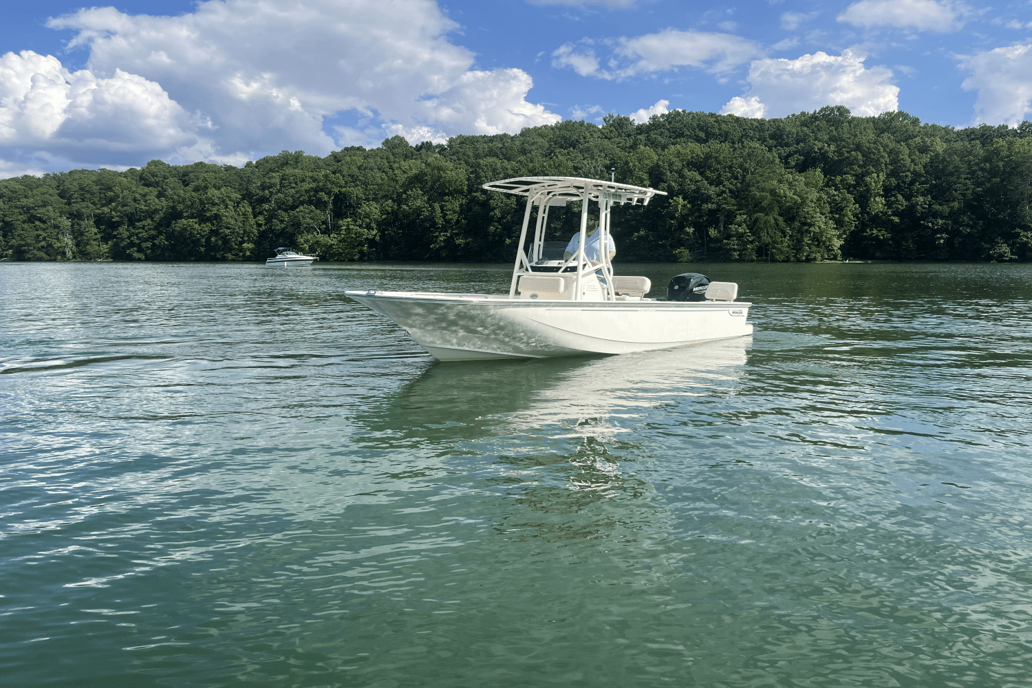 2024 Boston Whaler 19 MONTAUK Image Thumbnail #2