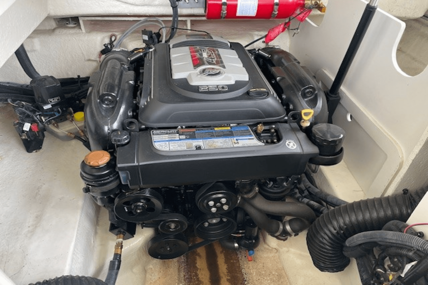 2019 Sea Ray 230 SLX Image Thumbnail #4