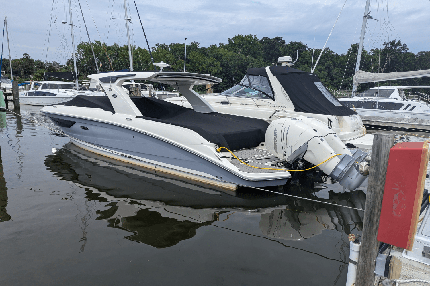 2023 Sea Ray 350 SLX Image Thumbnail #1