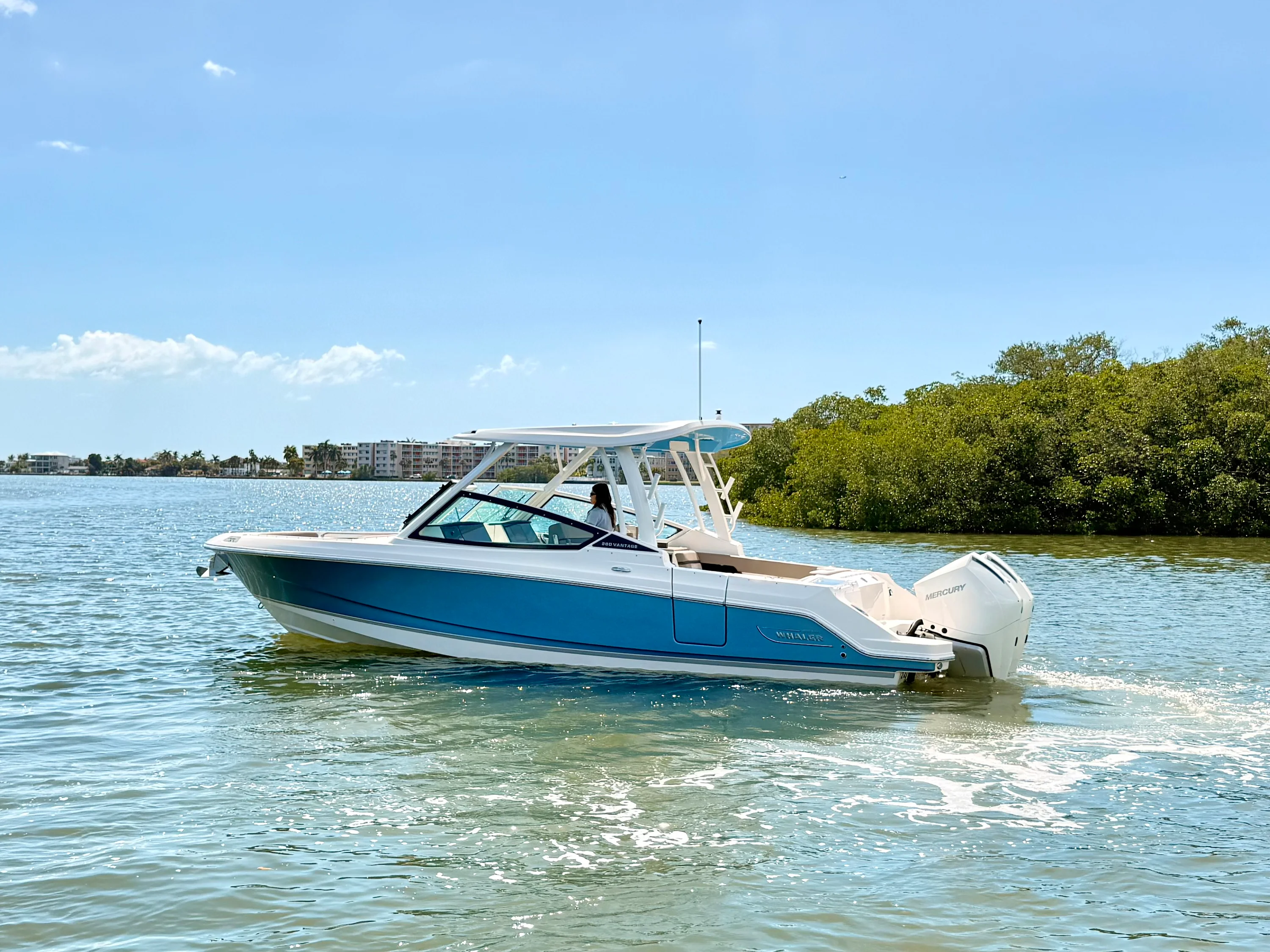 2026 Boston Whaler 280 Vantage Image Thumbnail #16