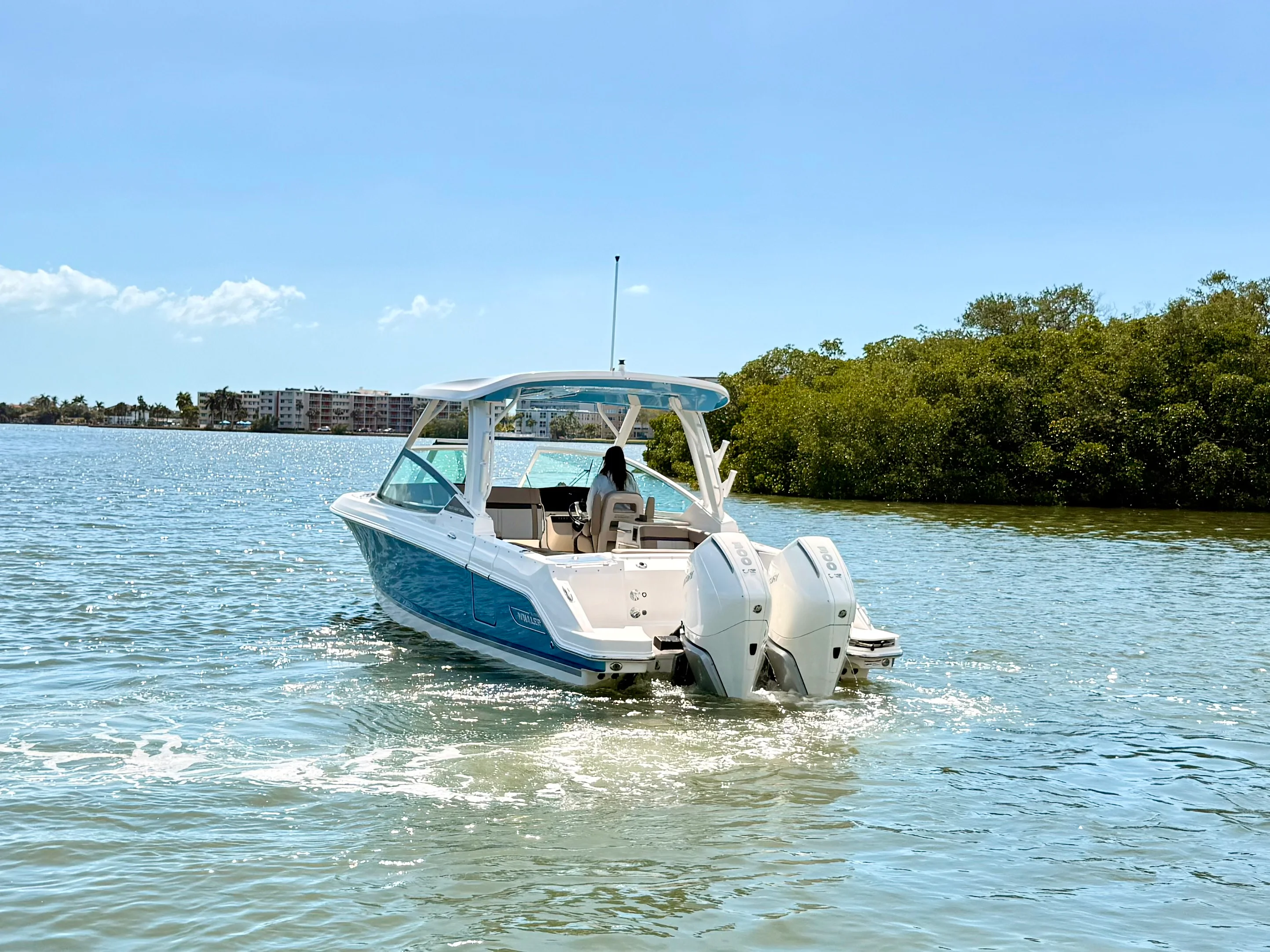 2026 Boston Whaler 280 Vantage Image Thumbnail #13