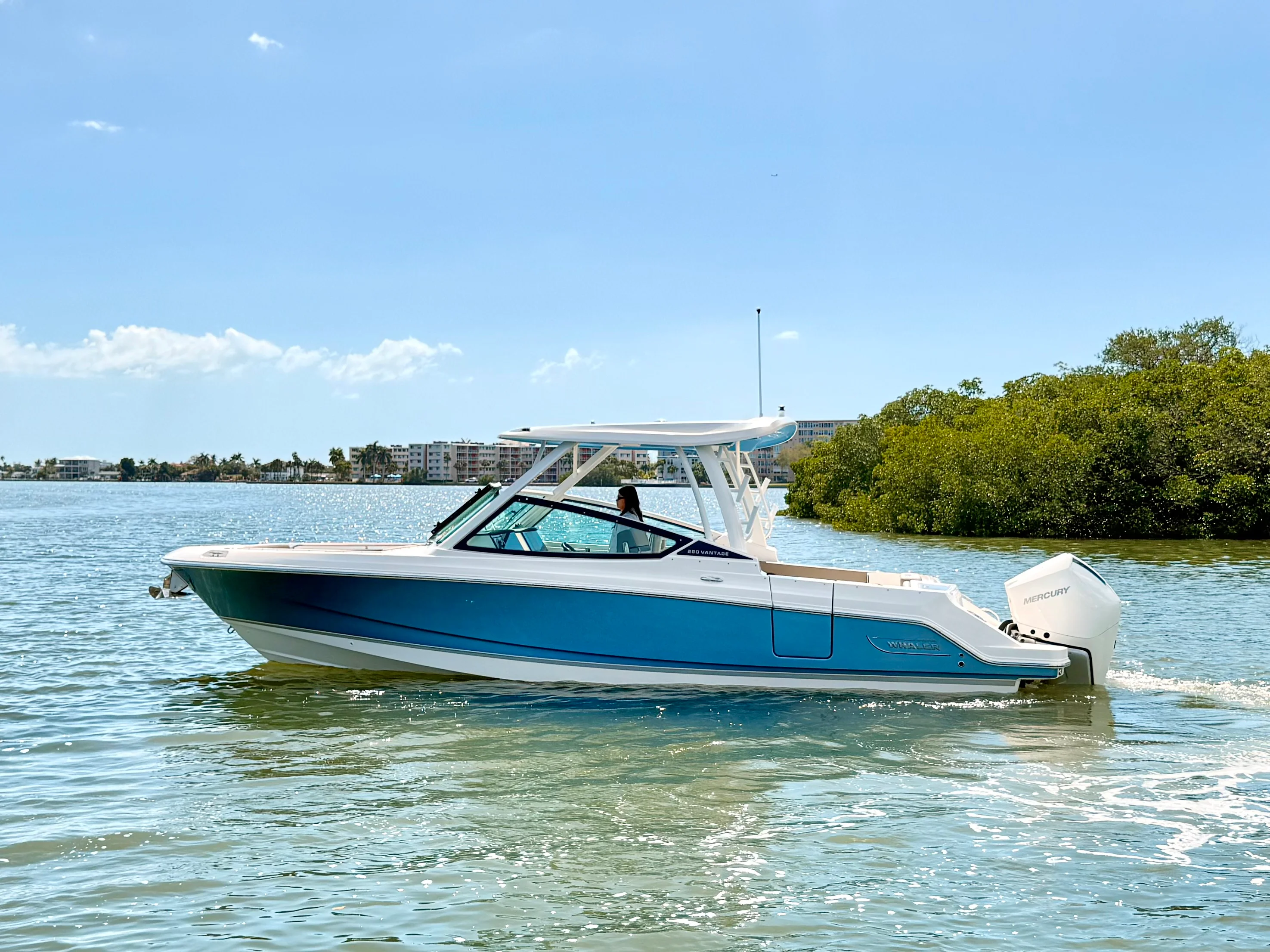 2026 Boston Whaler 280 Vantage Image Thumbnail #15