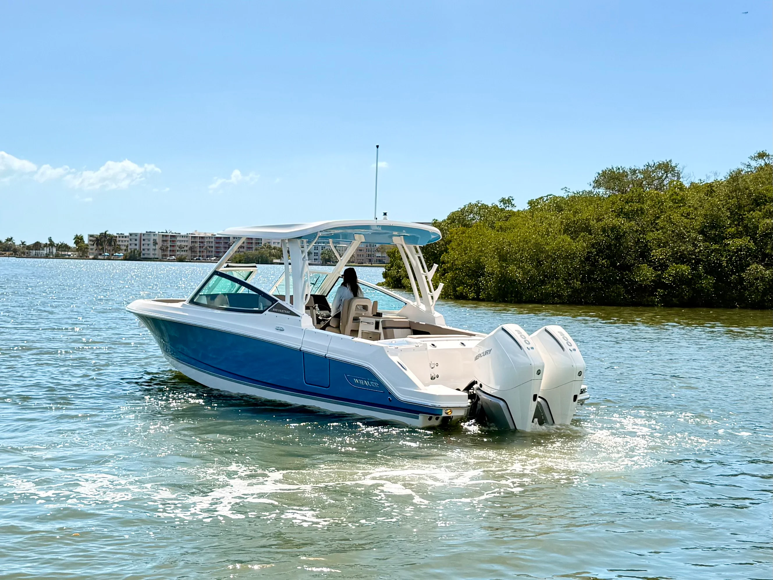 2026 Boston Whaler 280 Vantage Image Thumbnail #12