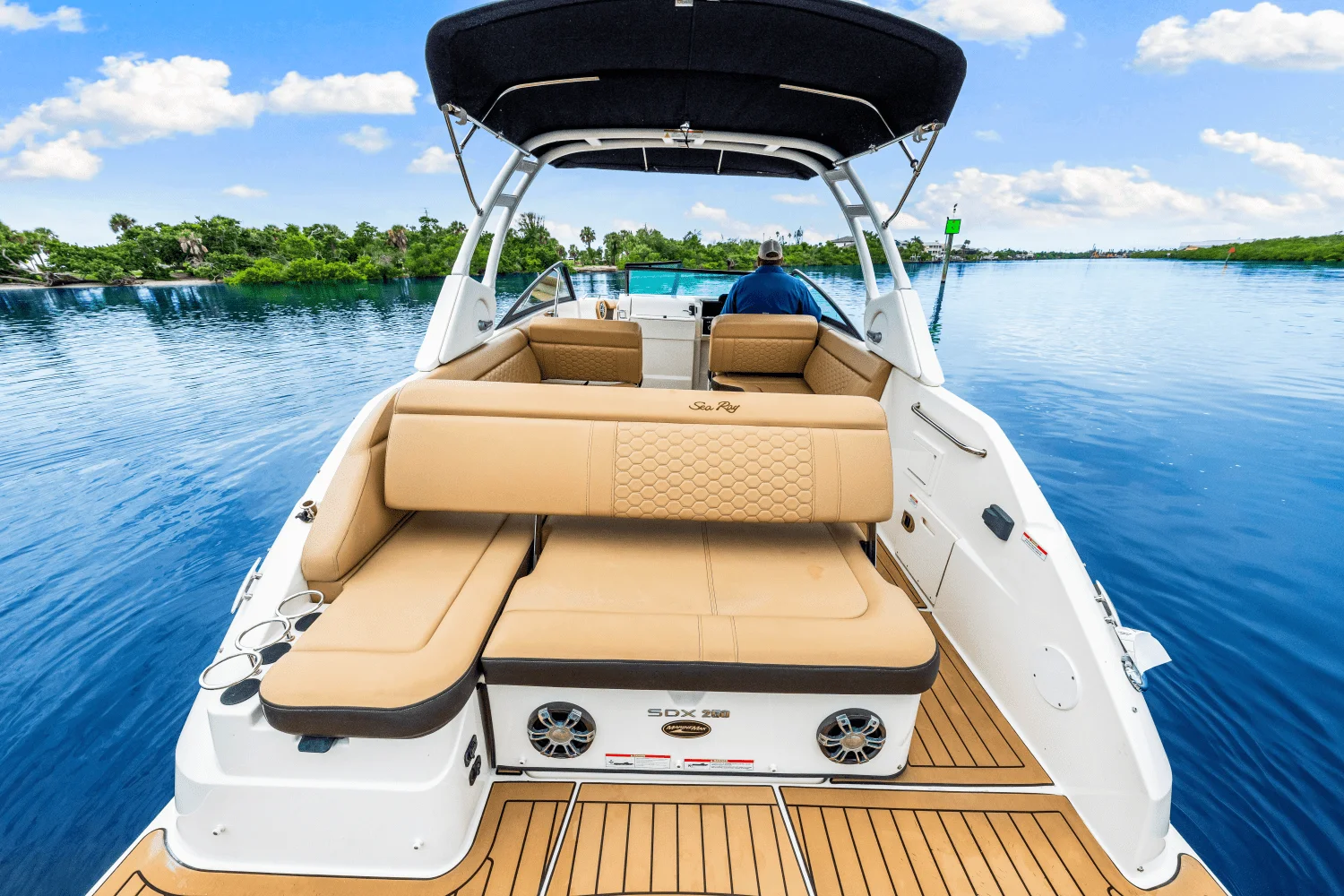 2023 Sea Ray 250 SDX Image Thumbnail #17