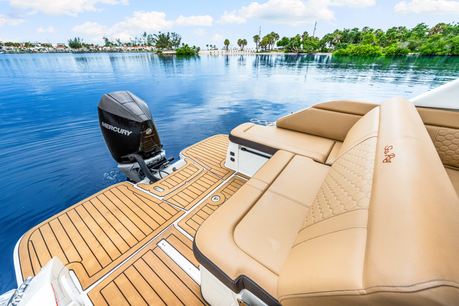 2023 Sea Ray 250 SDX Image Thumbnail #20