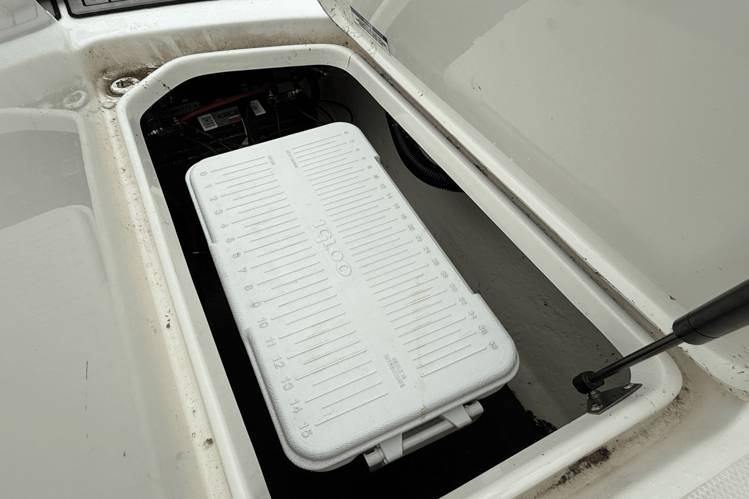 2019 Sea Ray 190SPX Image Thumbnail #15