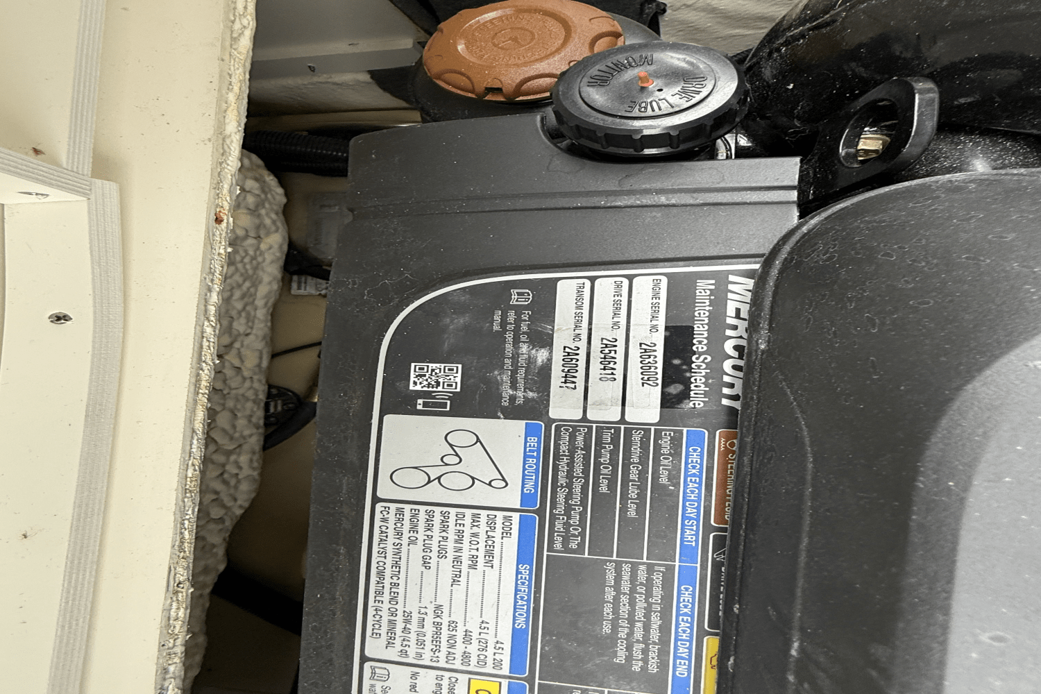 2019 Sea Ray 190SPX Image Thumbnail #14