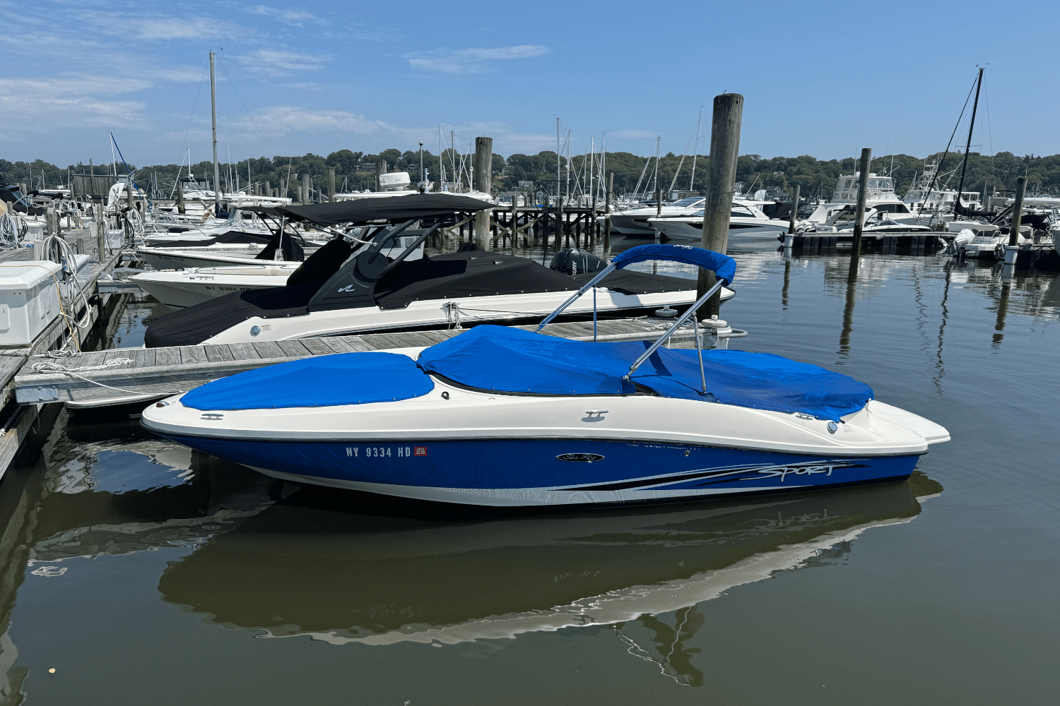 2012 Sea Ray 185 Sport Image Thumbnail #19