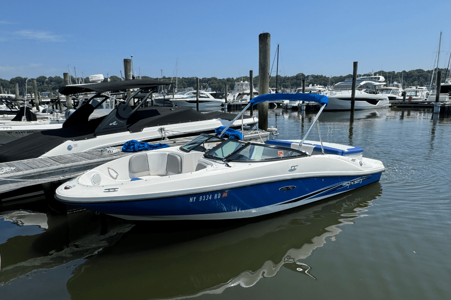 2012 Sea Ray 185 Sport Image Thumbnail #3