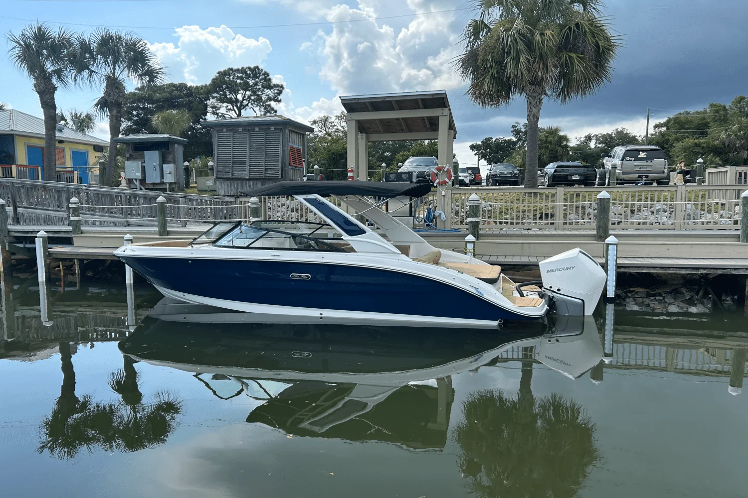 2026 Sea Ray SDX 250 Outboard Image Thumbnail #1