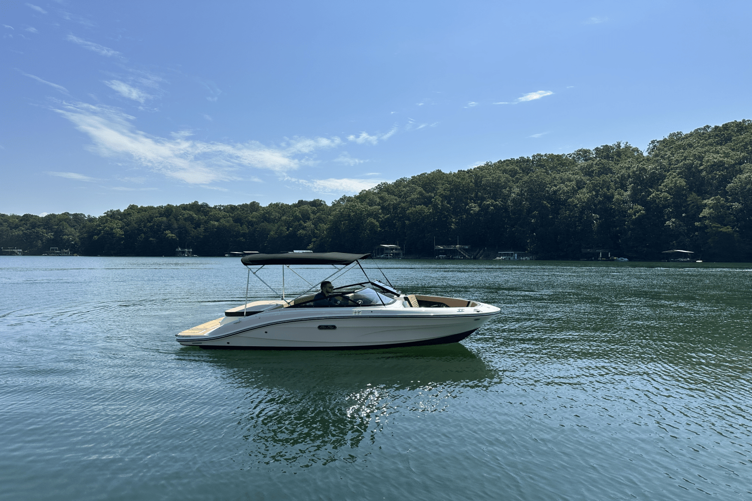 2025 Sea Ray SPX 190 Image Thumbnail #10