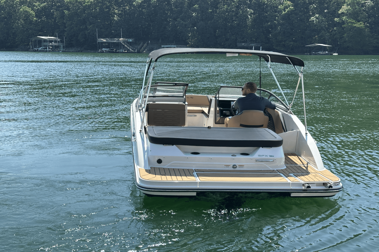 2025 Sea Ray SPX 190 Image Thumbnail #16