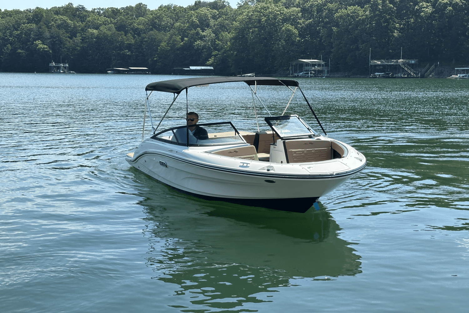2025 Sea Ray SPX 190 Image Thumbnail #7