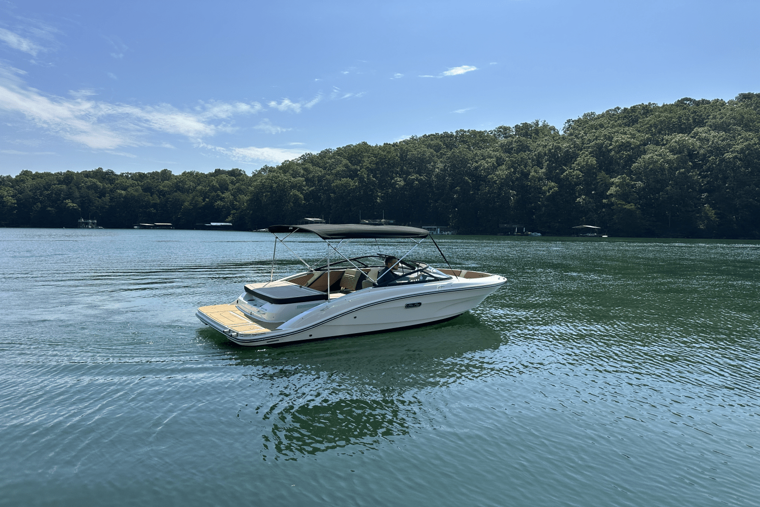 2025 Sea Ray SPX 190 Image Thumbnail #12