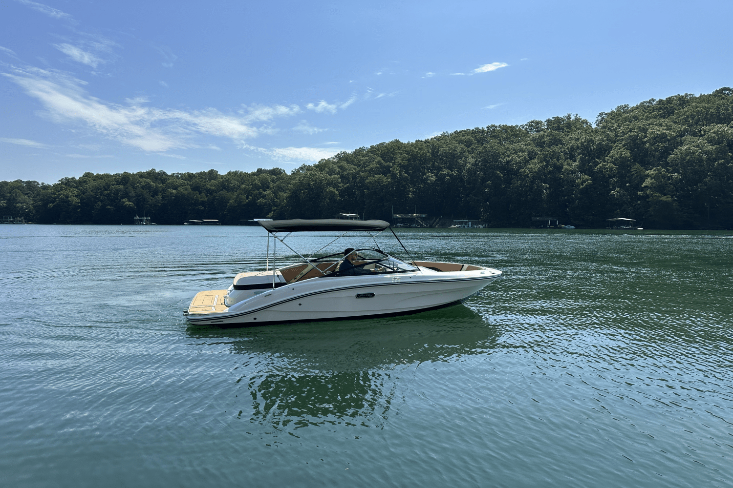 2025 Sea Ray SPX 190 Image Thumbnail #11