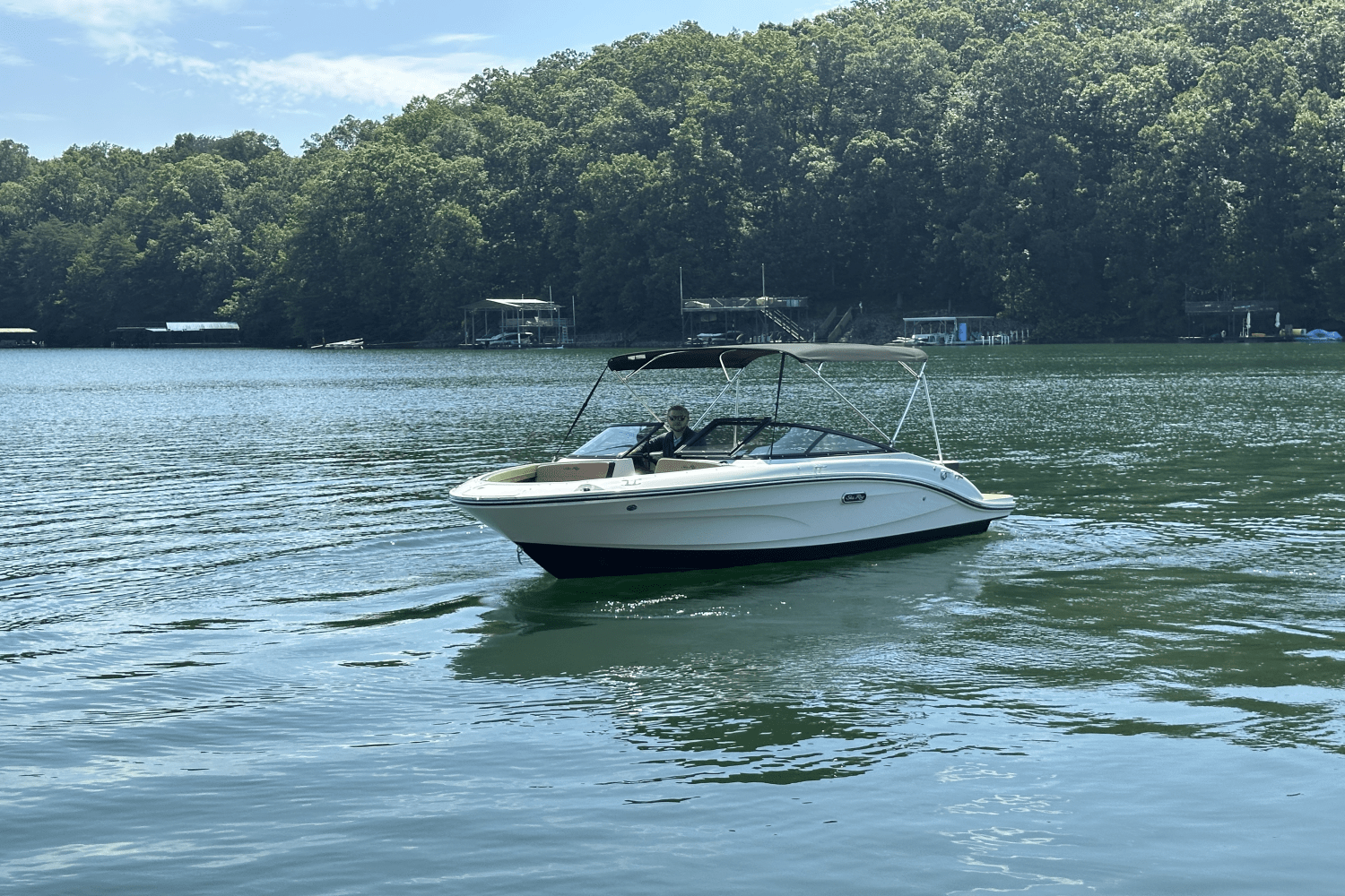 2025 Sea Ray SPX 190 Image Thumbnail #3