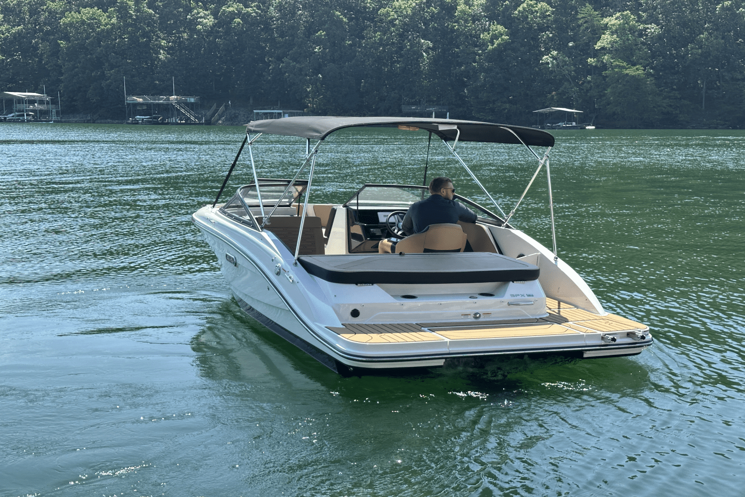2025 Sea Ray SPX 190 Image Thumbnail #17