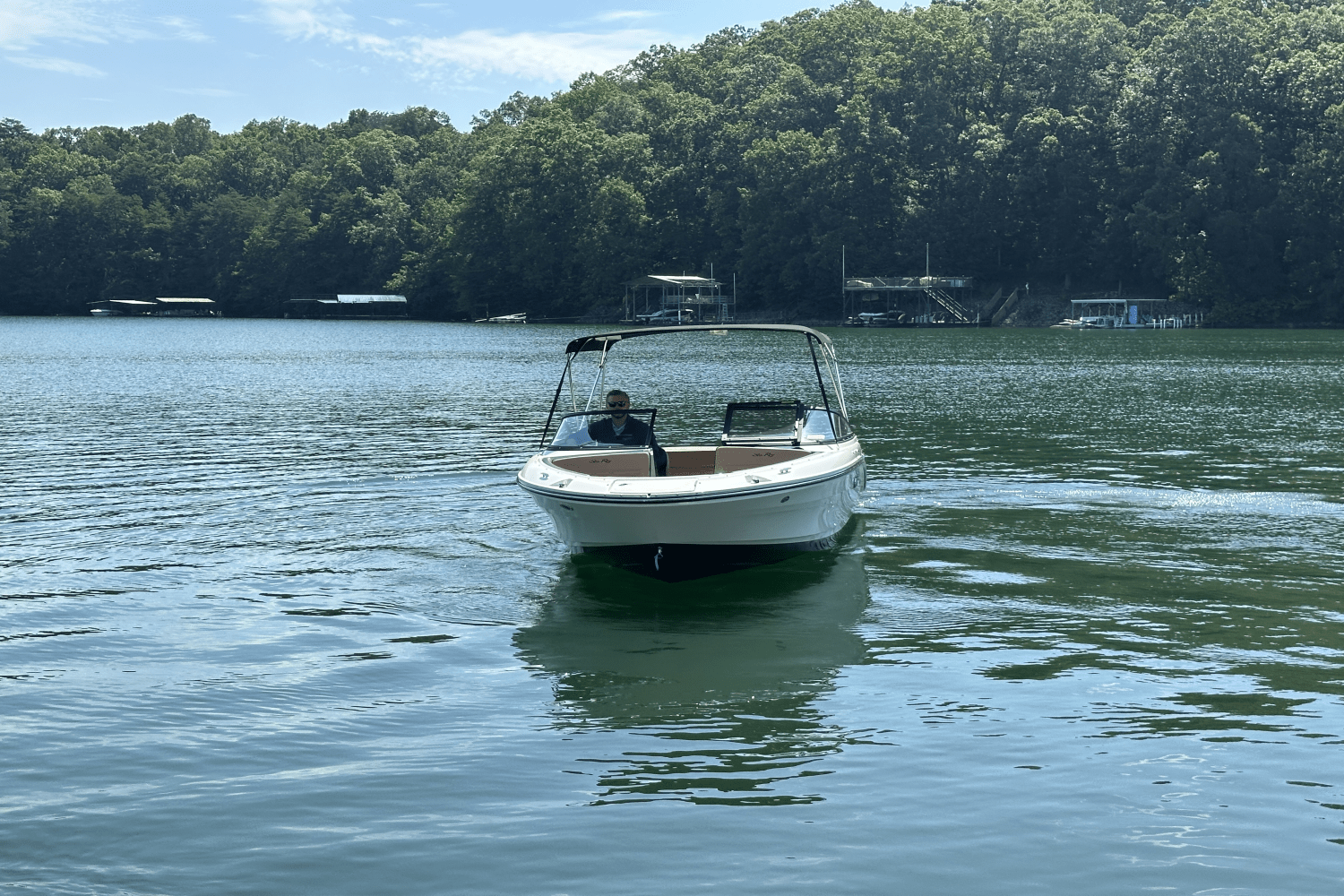 2025 Sea Ray SPX 190 Image Thumbnail #5