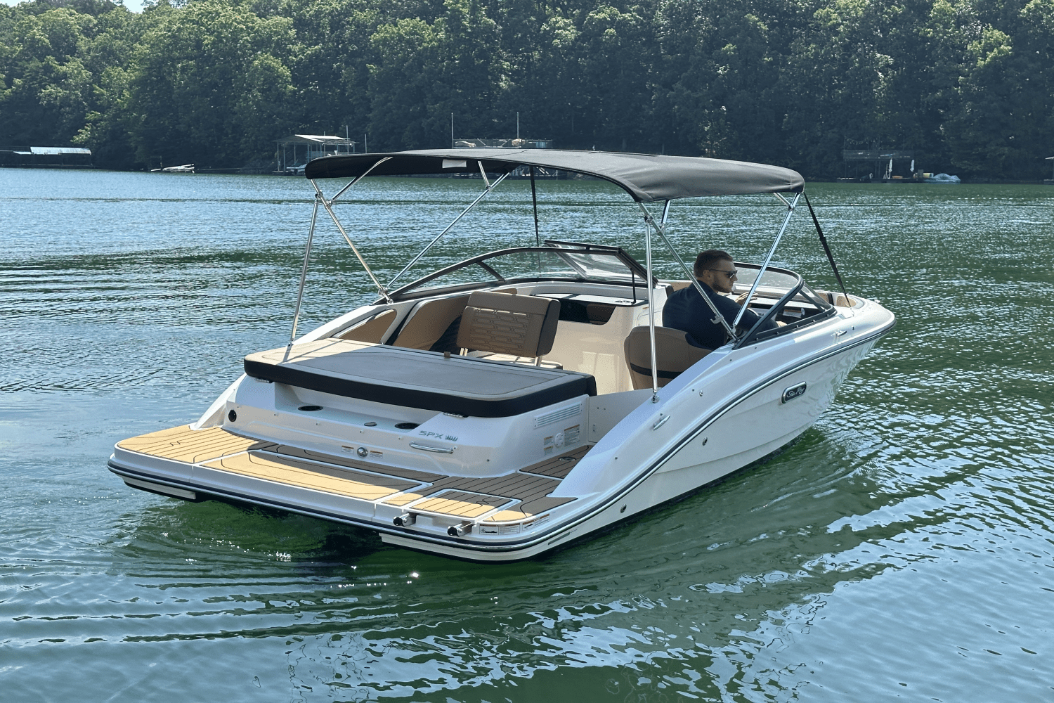 2025 Sea Ray SPX 190 Image Thumbnail #14