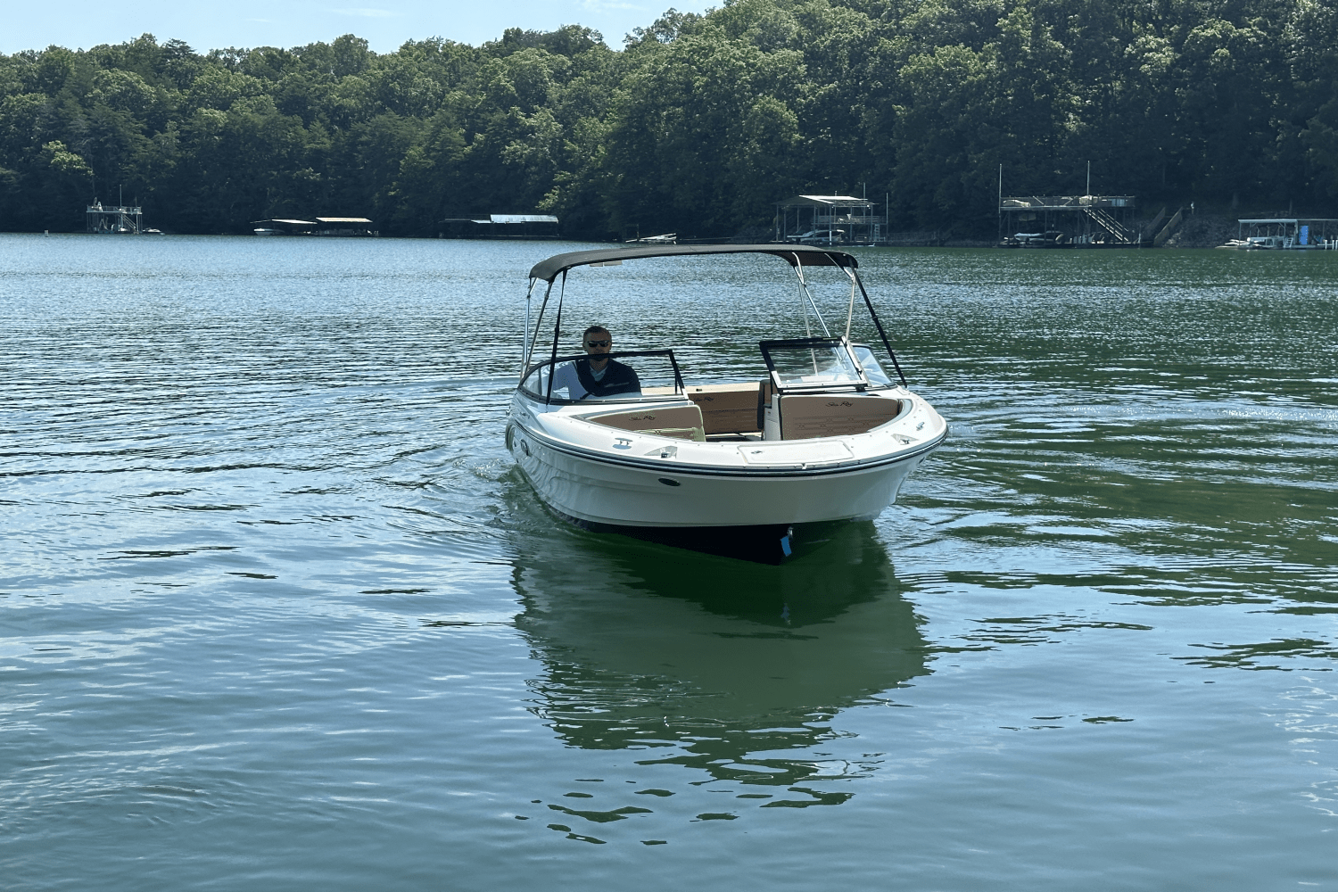 2025 Sea Ray SPX 190 Image Thumbnail #6