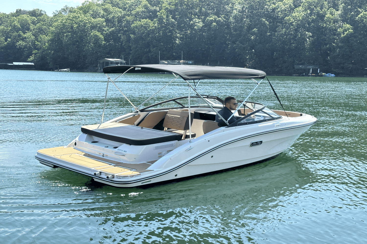 2025 Sea Ray SPX 190 Image Thumbnail #13
