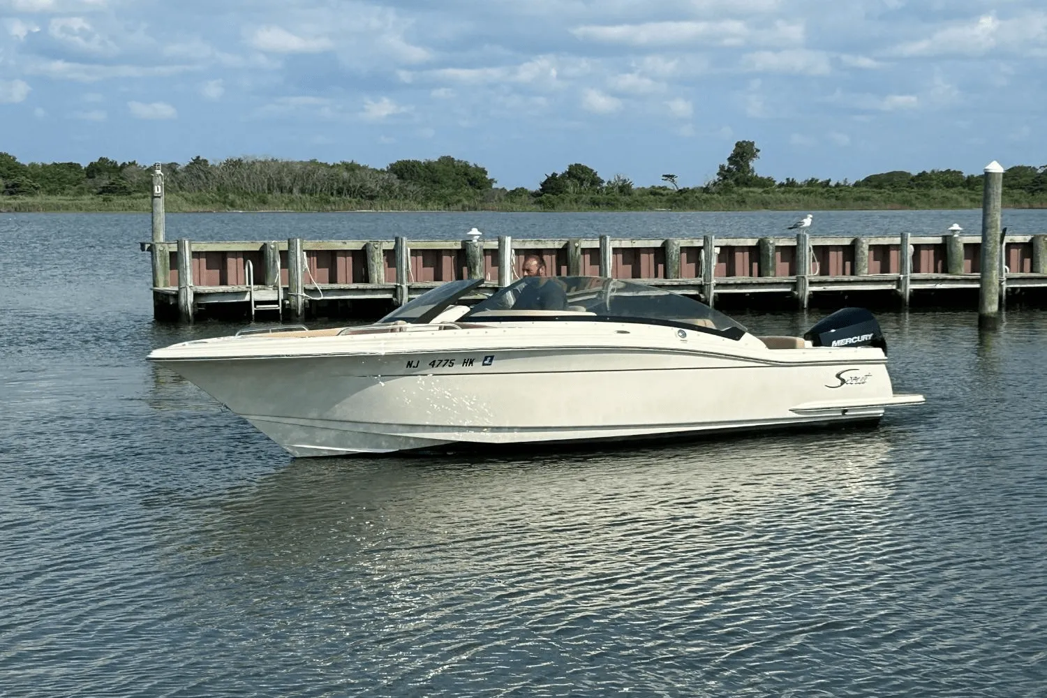 2022 Scout 215 DORADO Image Thumbnail #0