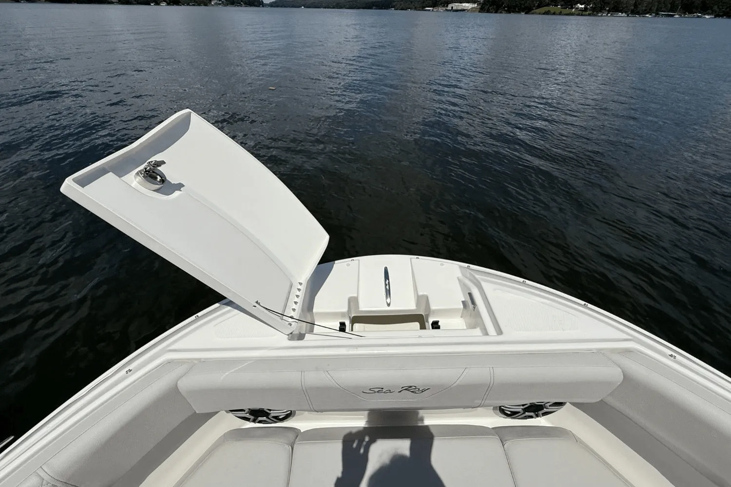 2026 Sea Ray SDX 230 Image Thumbnail #24