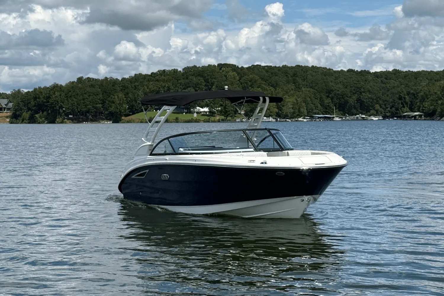 2026 Sea Ray SDX 230 Image Thumbnail #3