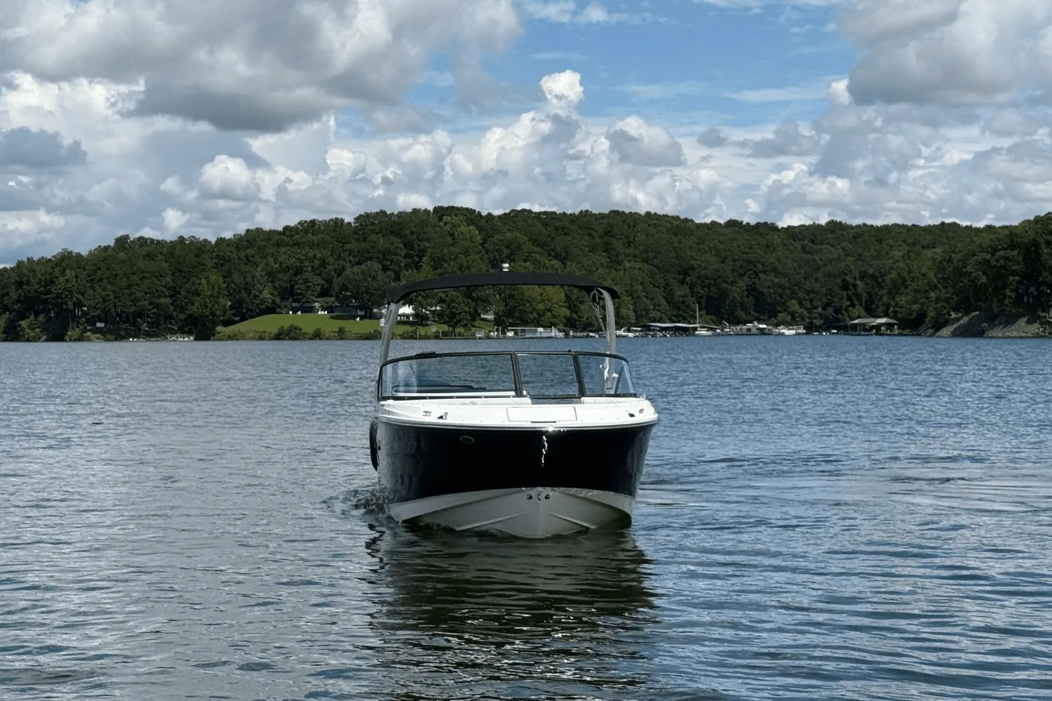 2026 Sea Ray SDX 230 Image Thumbnail #4