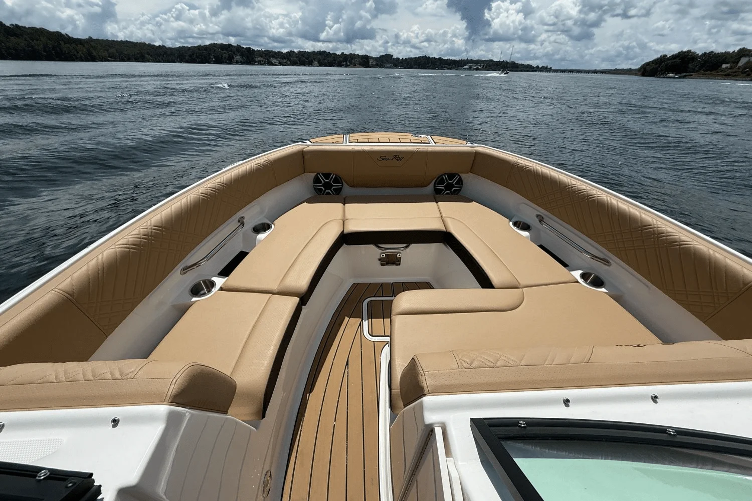 2026 Sea Ray SDX 230 Surf Image Thumbnail #22