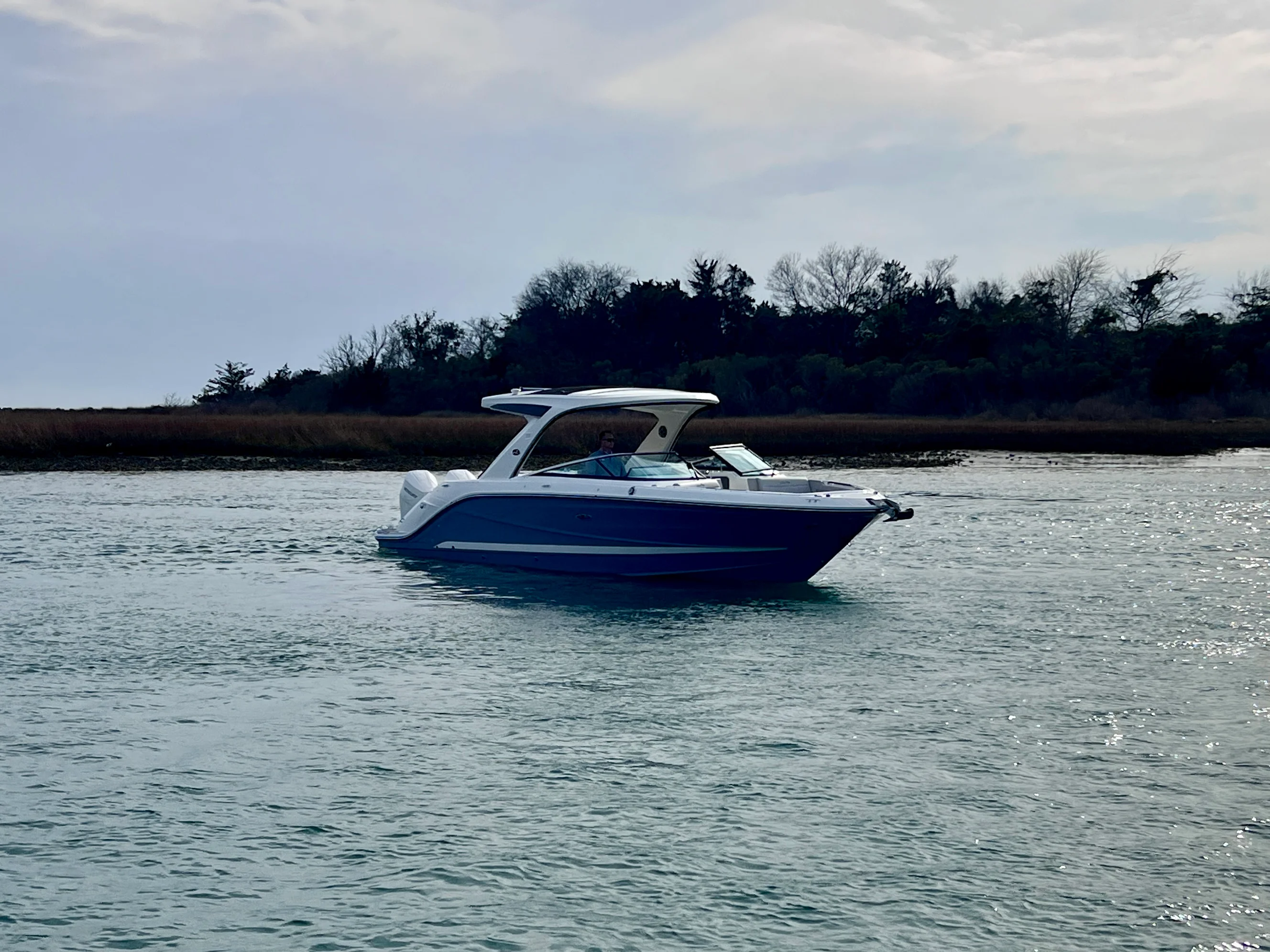 2026 Sea Ray SLX 310 Outboard Image Thumbnail #12