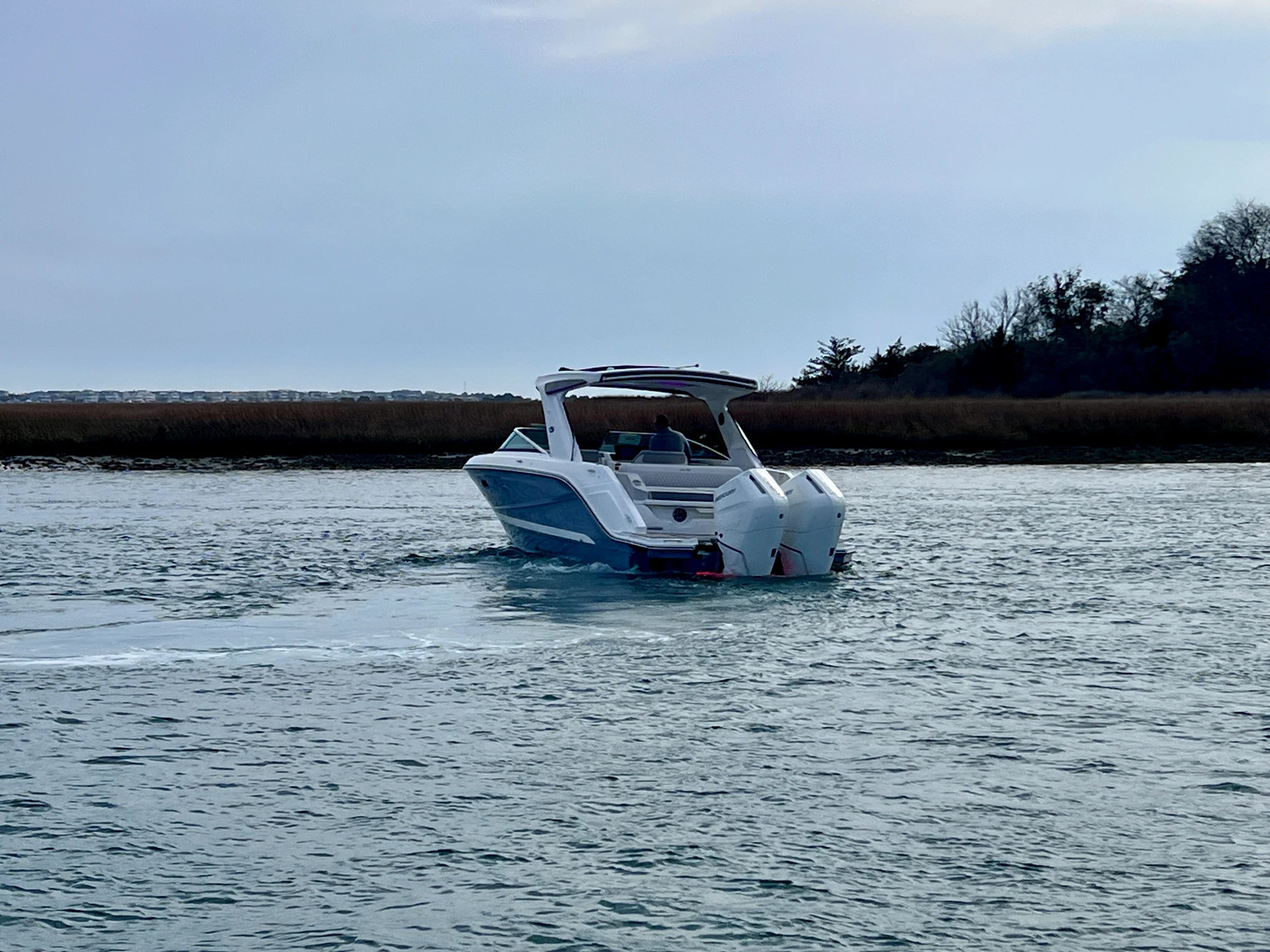 2026 Sea Ray SLX 310 Outboard Image Thumbnail #4