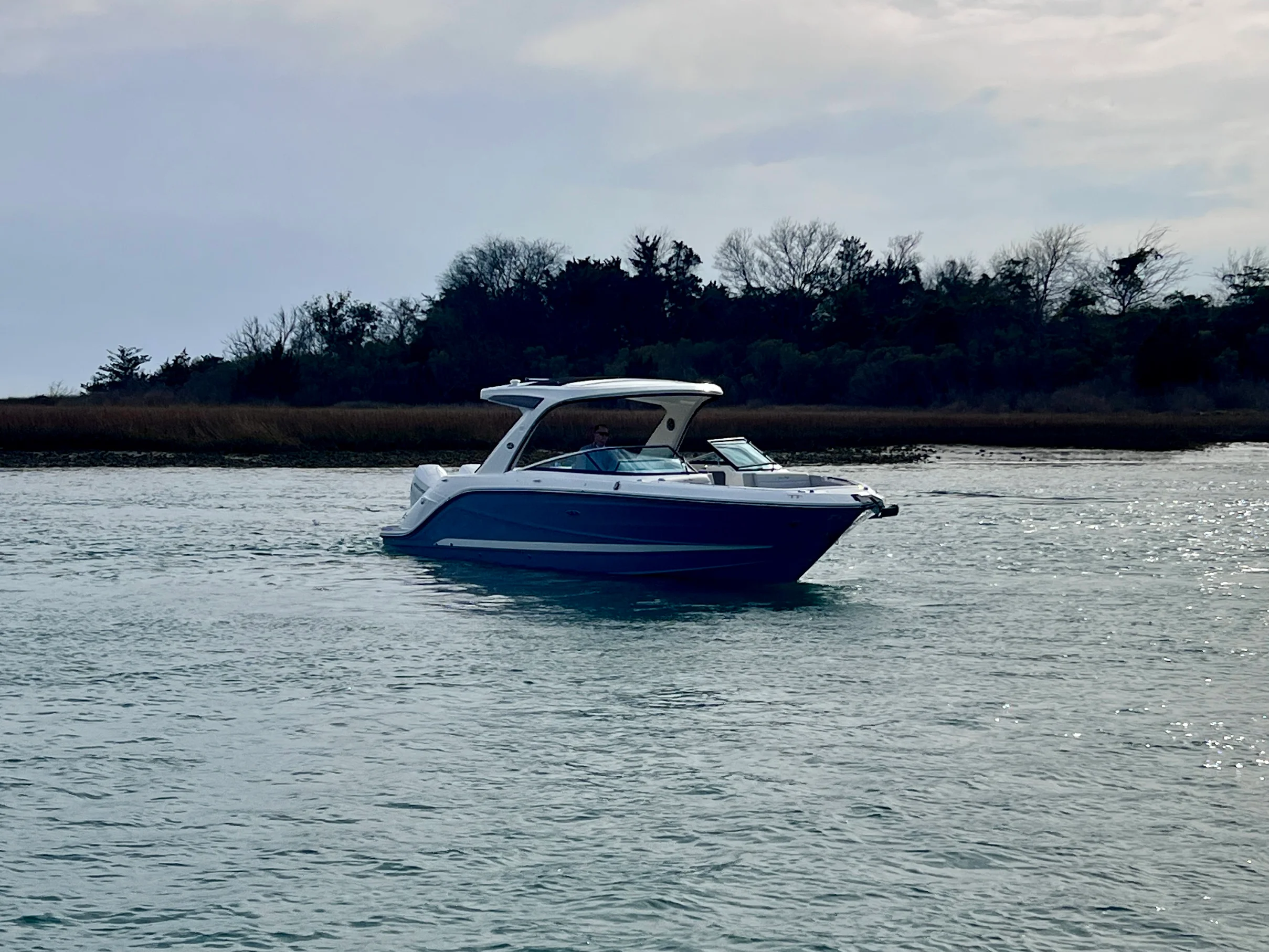 2026 Sea Ray SLX 310 Outboard Image Thumbnail #11