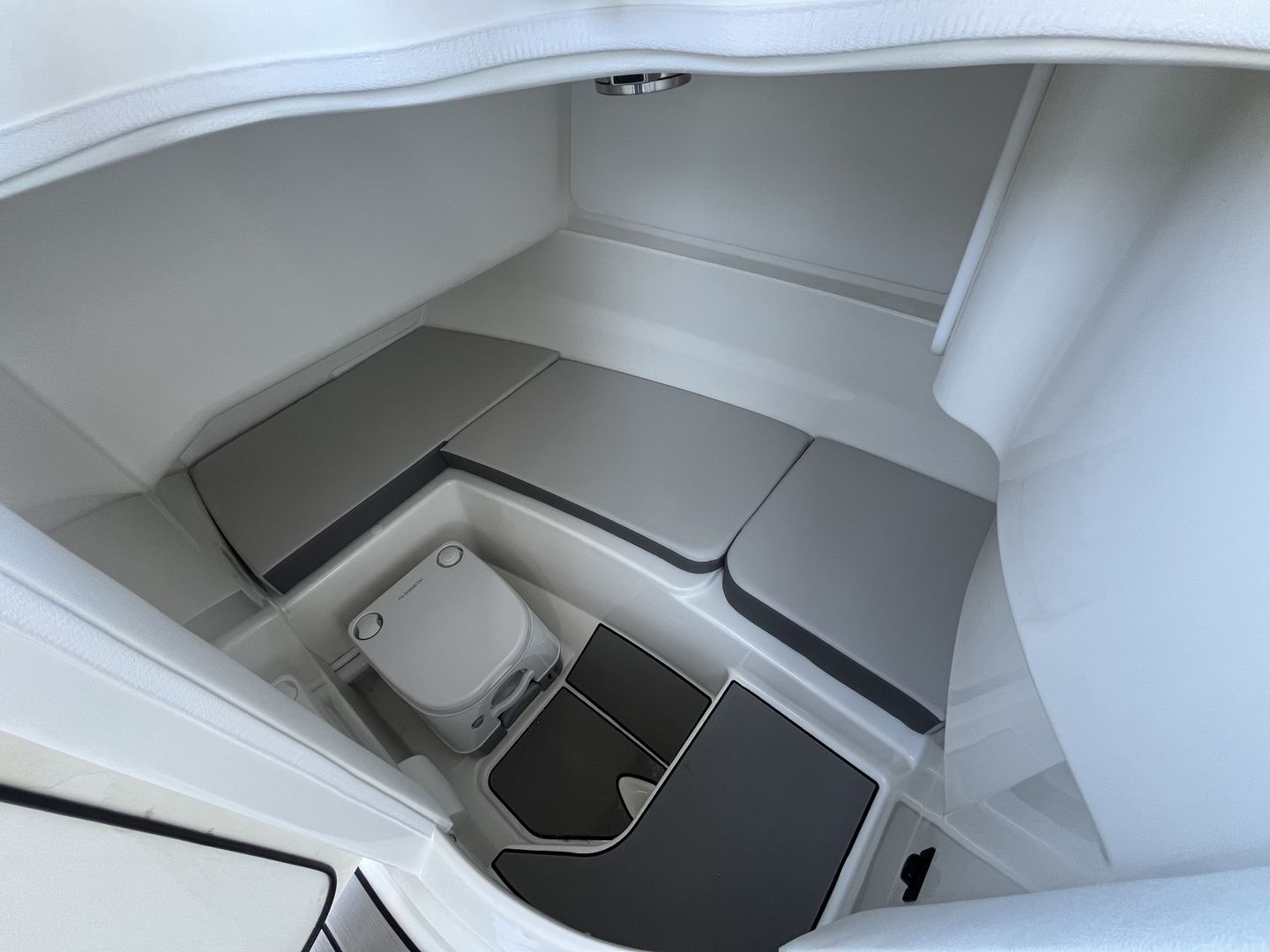 2026 Sea Ray SDX 230 Outboard Image Thumbnail #14