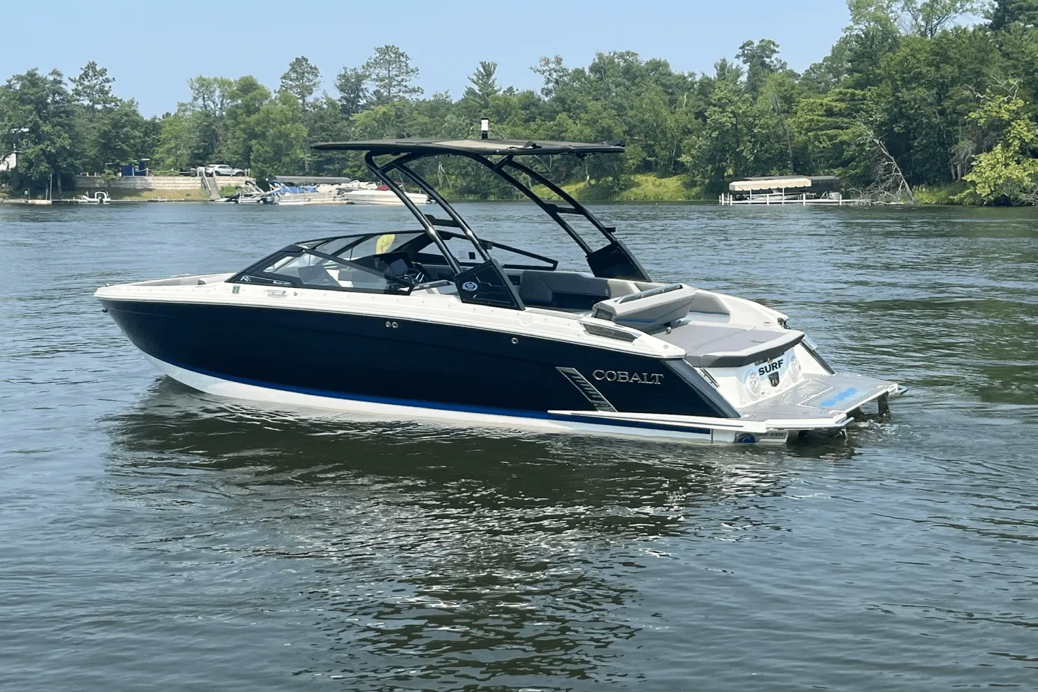 2022 Cobalt R6 Image Thumbnail #3
