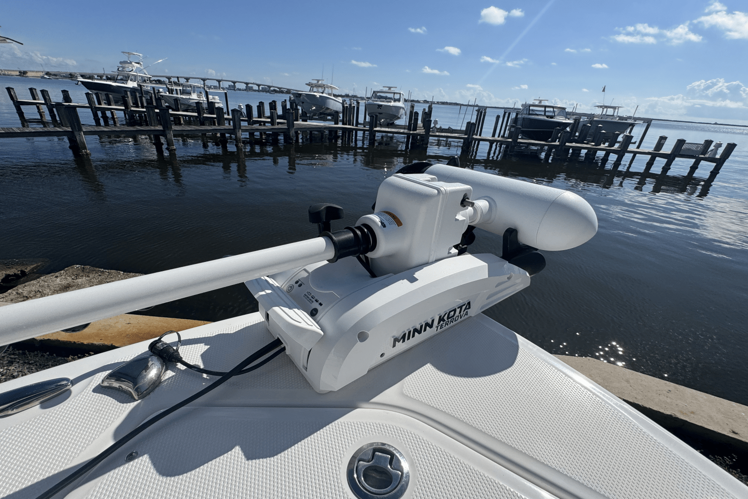 2021 Everglades 243 CC Image Thumbnail #9