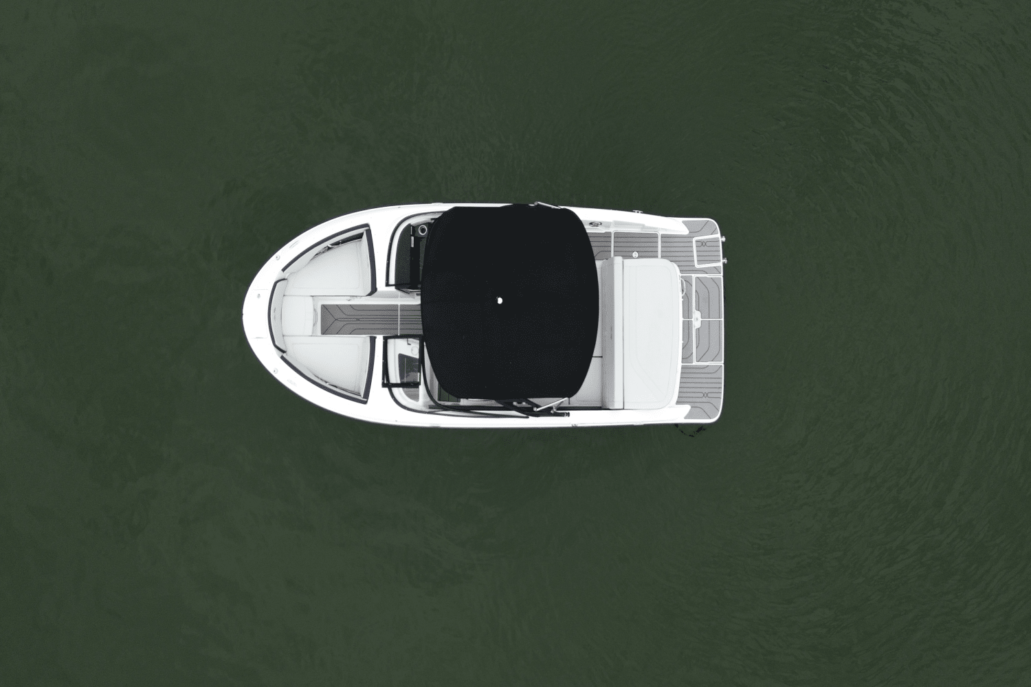 2024 Sea Ray 210 SPX Image Thumbnail #4