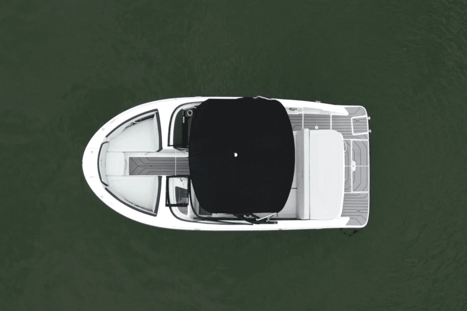 2024 Sea Ray 210 SPX Image Thumbnail #4